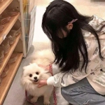 英雄杀腾讯版官方下载